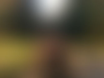 Un tracteur rouge au milieu d'un chemin