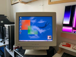 "Assimilation Crimes"