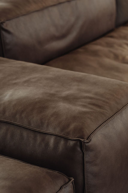 kaboompics_luxurious-brown-leather-sofa-with-smooth-textured-cushions-37012 2.jpeg