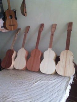 instrumentos musicales los capachos