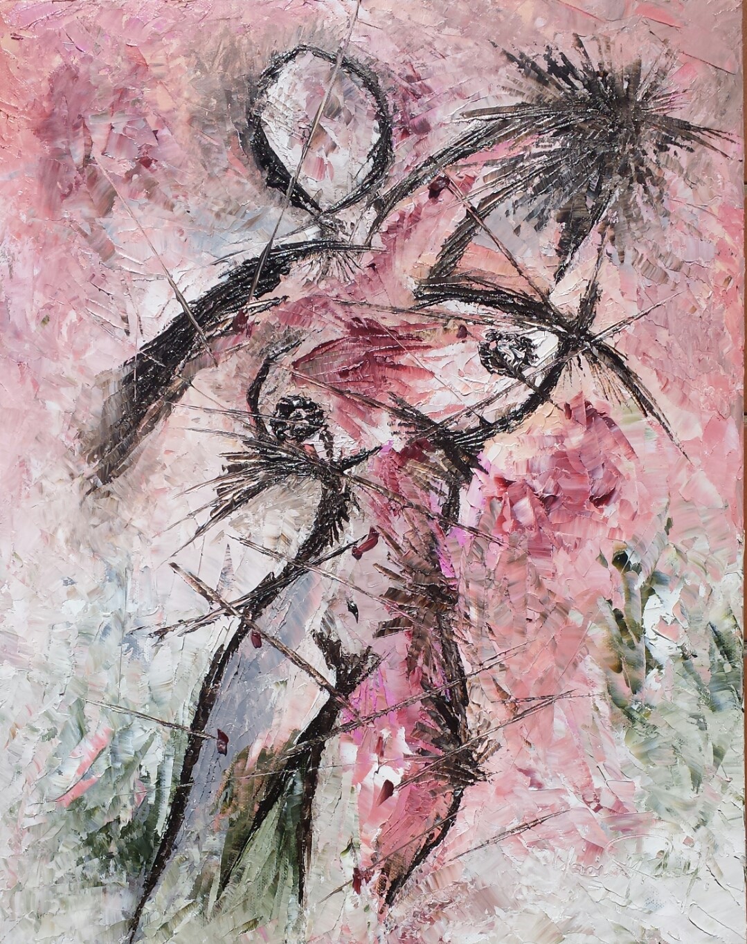 Donna sepre
