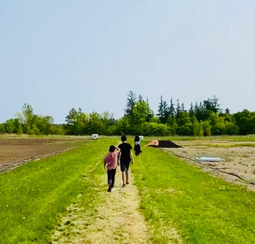 Our land, our food, our volunteers, & our local charity partnership.