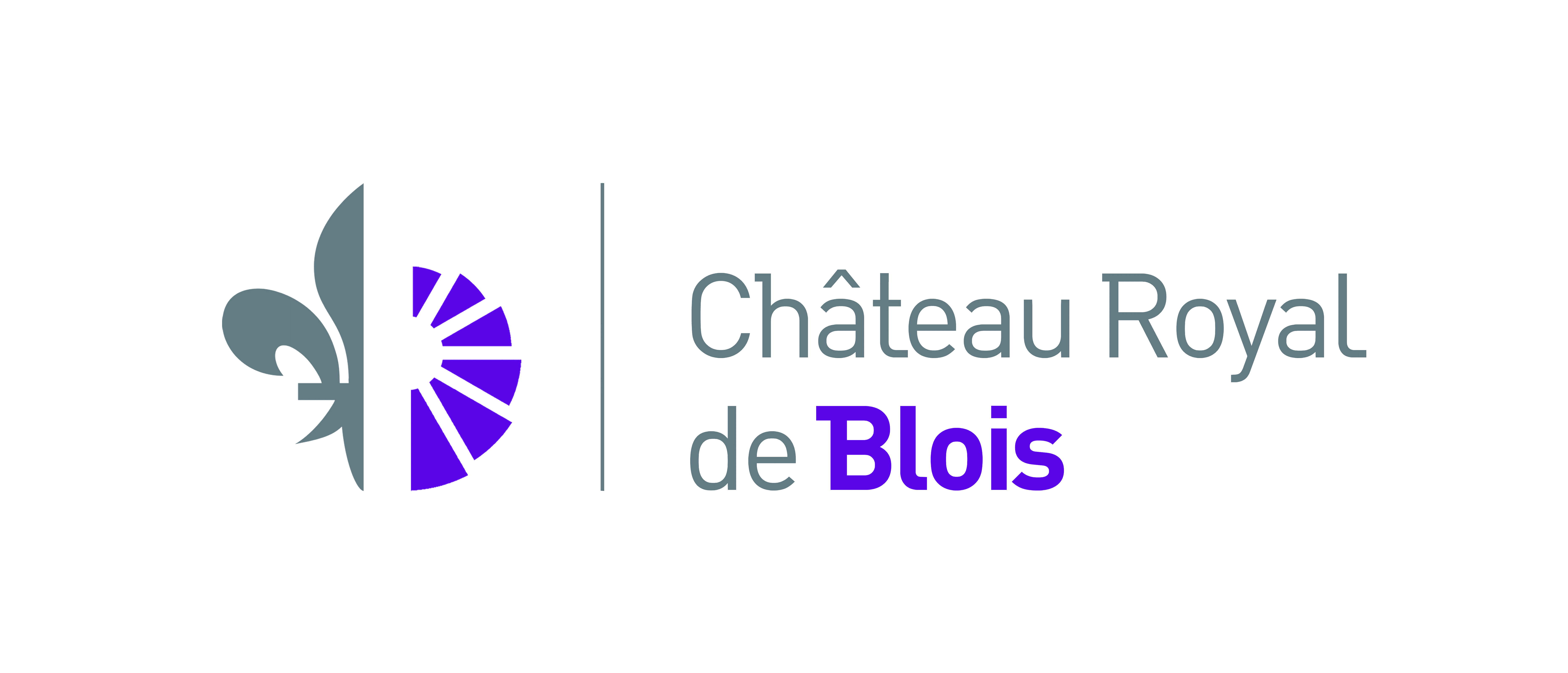 Logo_couleur_Chateau_Blois_7000px.gif