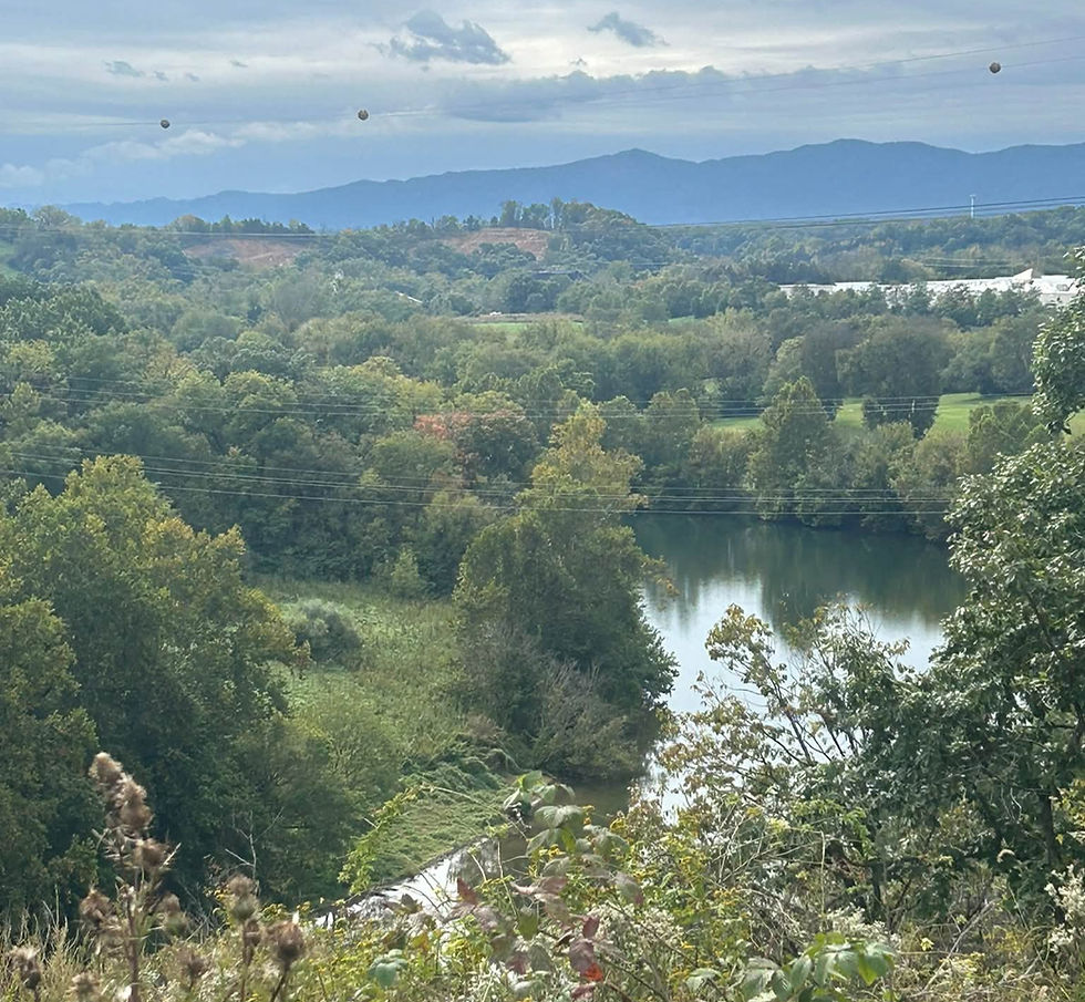 Image of the Shenandoah River taken from the overlook off of William E. Carson Trail in Rockland Park, Front Royal, VA