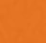 dotta site (1265 x 1182 px).png