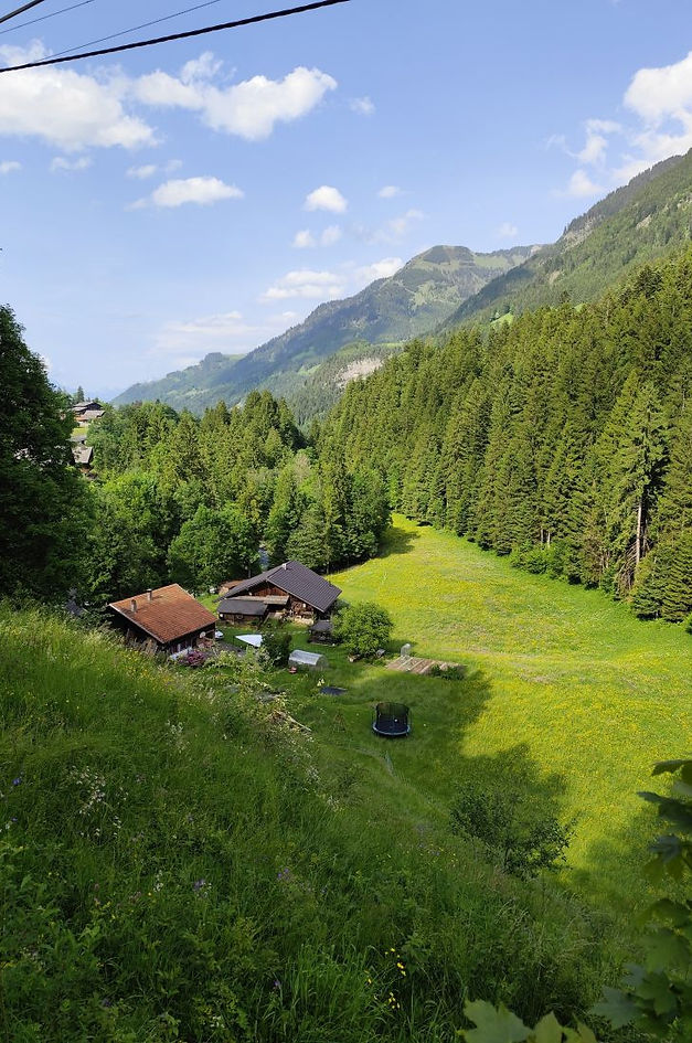 Forest landscape in the village of Champéry.