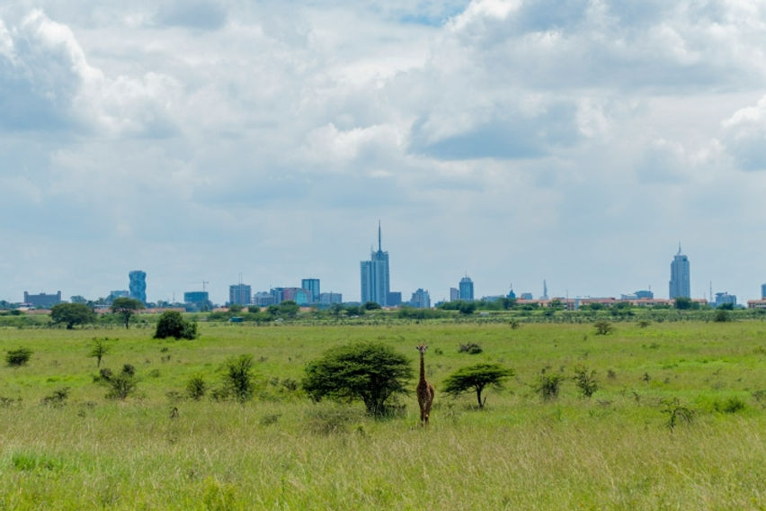 National Park near the city of Nairobi, Kenya