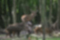 HJ6C2991 2.jpg