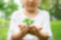 little-boy-holding-soil-and-plant-in-the-park-we-are-proud-to-s.jpg
