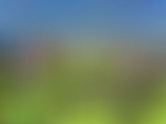 LEAF News April 2026