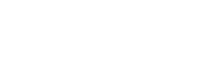 logo.png.webp