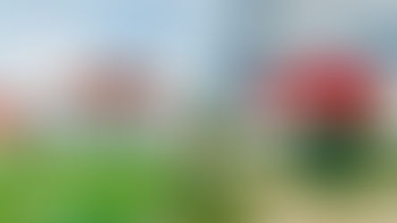 Convênio entre Faculdade Atenas e Hospital Municipal possibilitará Estágio de Alunos de Medicina