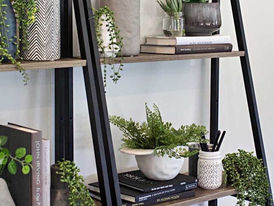 Dicas valiosas para colocar mais plantas em sua casa