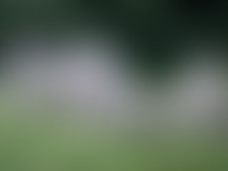 Produtores devem informar rebanho ao Indea, campanha iniciou-se em 01.11, e segue ao dia 30.11