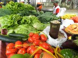 Proposta prevê compra de alimentos da agricultura familiar e doação à população