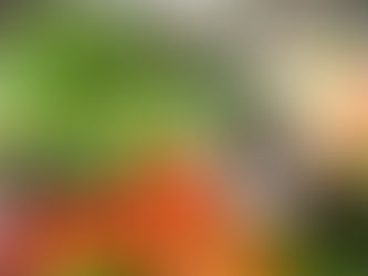 Proposta prevê compra de alimentos da agricultura familiar e doação à população