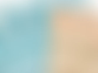 Contribuintes já podem consultar lote residual do Imposto de Renda