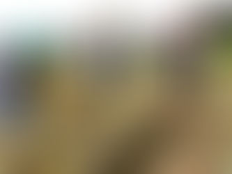 Curso de Permacultura (PDC) ensina nova forma de viver no mundo