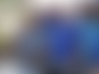 Riva e Comitiva fazem Grande Carreata em Juara