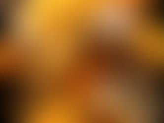 Energia e Informação: Arquétipo, Mel, Abelha, Flores e Girassóis