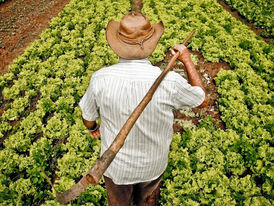 Inscrições para 1º Fórum Municipal da Agricultura Familiar devem ser feitas no dia do evento