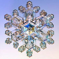 O Poder das Palavras carregadas de Sentimentos