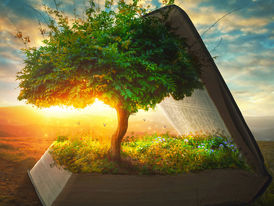 Quantos Idiomas Existem pelo Mundo?