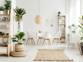 Feng Shui e Prosperidade exige cuidados, à empresas e residências