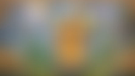 Um recurso que se multiplica