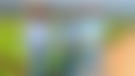 Juara avança no cultivo do Café e viabiliza mudas à produtores da Agricultura Familiar