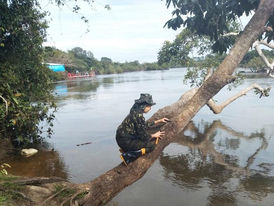 Professora de escola estadual tem projeto contemplado por programa do Greenpeace