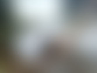 Professora de escola estadual tem projeto contemplado por programa do Greenpeace