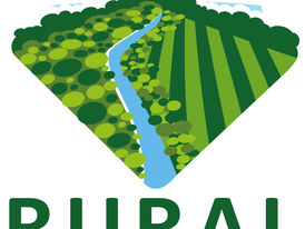 Projeto Rural Sustentável realiza Dia de Campo em Cotriguaçu