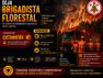 Prefeitura de Castanheira e Corpo de Bombeiros fortalecem parceria para combate aos incêndios florestais