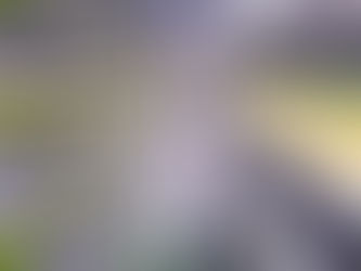 Fazenda vertical vai cultivar mil toneladas de verduras por ano