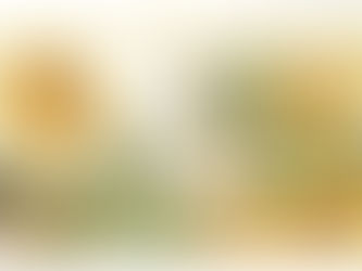 Significado da runa Sowulo