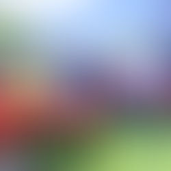 Secretaria Municipal de Agricultura adquire novos equipamentos por meio de emenda parlamentar