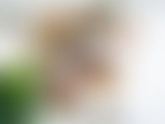 O corpo humano apresenta sinais bioenergéticos antes de adoecer