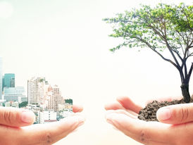 Projeto apresenta diretrizes para a adoção de práticas sustentáveis pelo Poder Público