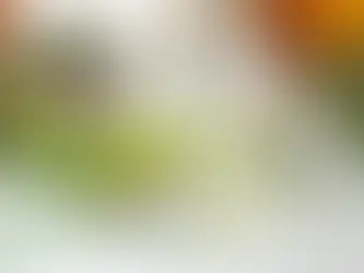 Óleo Essencial de Eucalipto: Efeito analgésico e anti-inflamatório comprovado