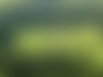 Prazo para envio da declaração do Valor da Terra Nua encerra nesta terça