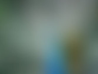 Arquétipos e Poder o Significado do Pavão