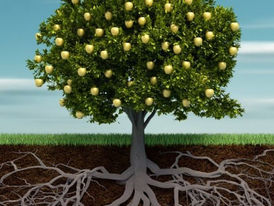 Agradeço pelas bênçãos,
luz, proteção e orientação