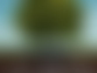 Agradeço pelas bênçãos,
luz, proteção e orientação