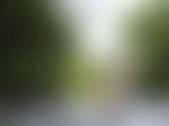 Crianças rodeadas por vegetação crescem mais saudáveis mentalmente