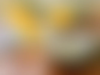 Casal brasileiro cria embalagem vegana para substituir plástico filme e papel alumínio