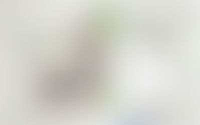 Leilão de terras Públicas em Itanhangá nos próximo meses