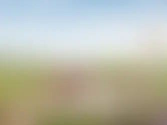 Terreno baldio dará lugar a corredor de biodiversidade em Montreal