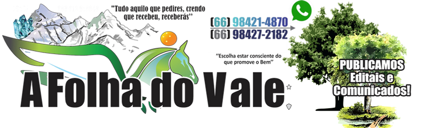 CABEÇALHO DO SITE DO JORNAL A FOLHA DO V