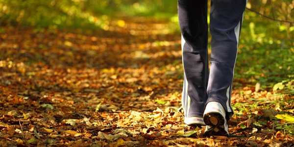 SEMATUR se prepara para a caminhada na natureza Circuito Caminhos do Sol, em Porto dos Gaúchos